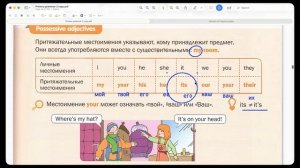 possessive adjectives (притяжательные местоимения)