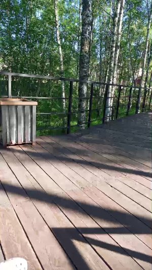 что надо сделать обязательно летом