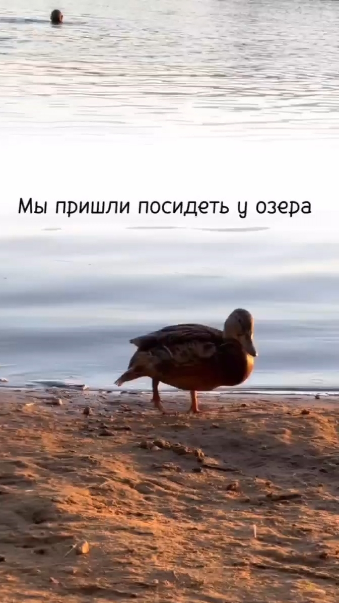 Попробуй не заплакать🥹🥰Радость бытия
