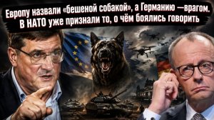 «Пристрелить бешеную собаку»: Экс-разведчик США объяснил, чем закончится для Европы поход на Россию