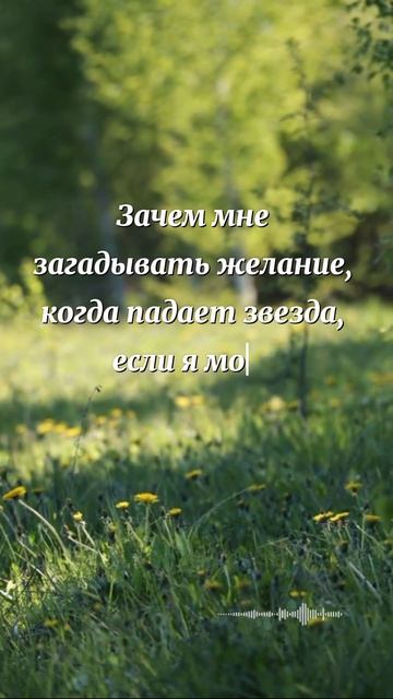 Мудрость Библии за 15 секунд. Зачем загадывать, если можно молиться?