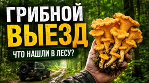 На квадроцикле в лес за грибами