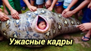 08-07-2026. ЧП❗КАТАКЛИЗМЫ❗КАТАСТРОФЫ‼️ ПРОИСШЕСТВИЯ ЗА ДЕНЬ. новости дня. СЕГОДНЯ. Россия США Китай