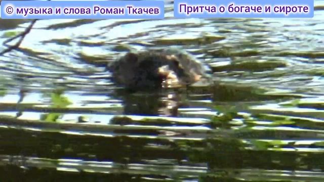 #РоманТкачев #Притча о богаче и сироте смотреть онлайн
