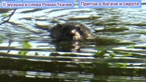 #РоманТкачев #Притча о богаче и сироте