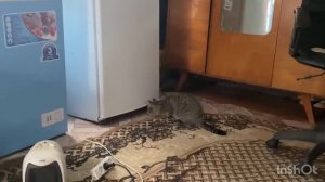 Такого нету ни у кого