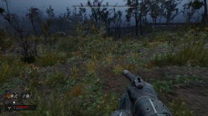 S.T.A.L.K.E.R. 2  Heart of Chornobyl Брожу дальше.