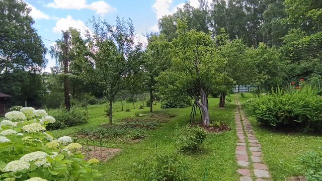 1000144312.mp4 смотреть онлайн