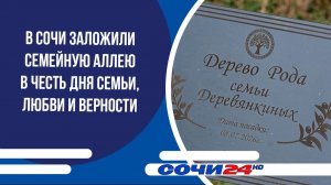 В Сочи заложили семейную аллею в честь Дня семьи, любви и верности