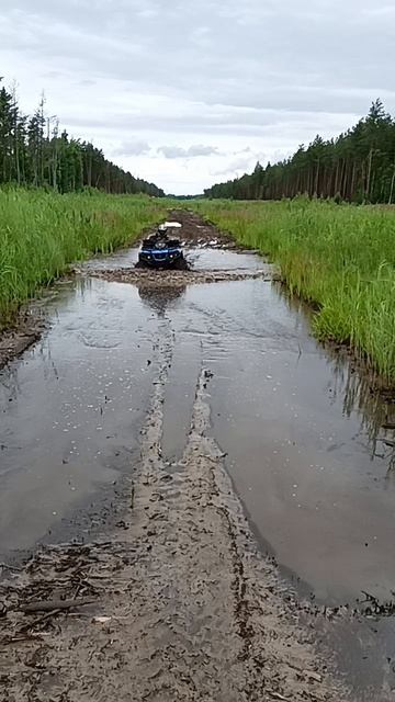 НеБольшая лужа, в Большой просике🤬