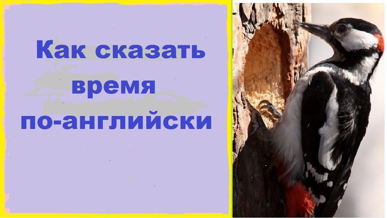 Как сказать время на английском / Практика английского языка смотреть онлайн