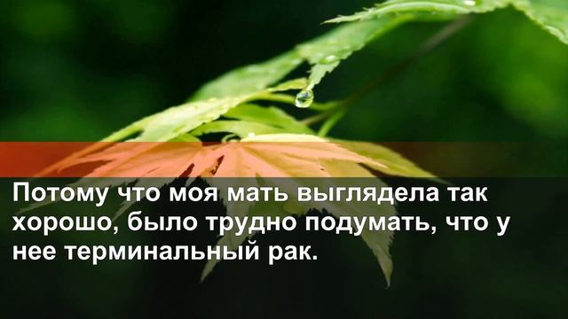 "Яблоко": Мой папа ушёл и бросил нас. Моя мама воспитывала меня одна. Ты была хорошей. смотреть онлайн