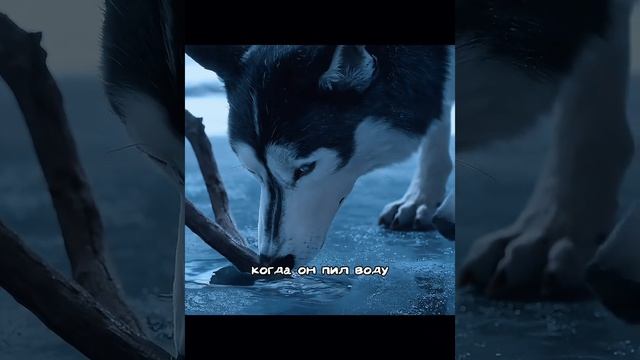 🔥 Кино без лишних слов ⏱️🎥🧠 смотреть онлайн