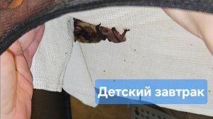 Детский ужин
