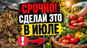 Срочно сделайте ЭТО в ИЮЛЕ! 20 правил идеального урожая томатов и огурцов