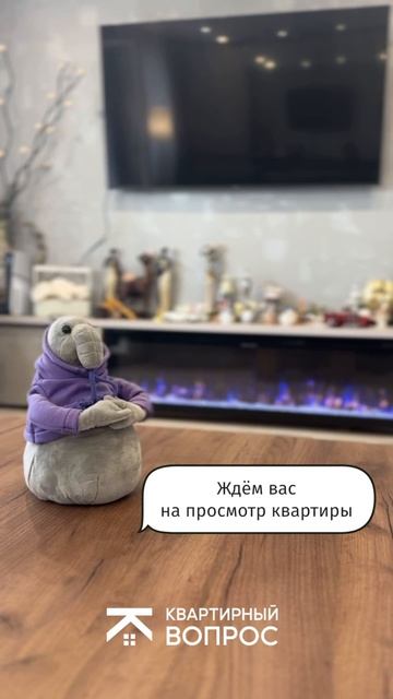 Записывайтесь на просмотр!