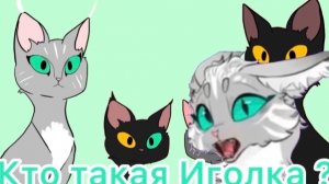 Кто на самом деле Иголка ?! История моей ос.