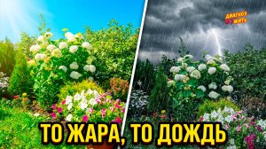ВИЗИТ К МАМЕ / КЛЕЁНКА ОТ ПОДПИСЧИКА / ПОГОДА НА УЛИЦЕ