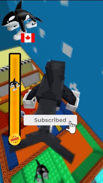 Correct Poppy Playtime🎶 X Smiling Critter🎉 Hole Jump Competition #minecraft #poppyplaytime