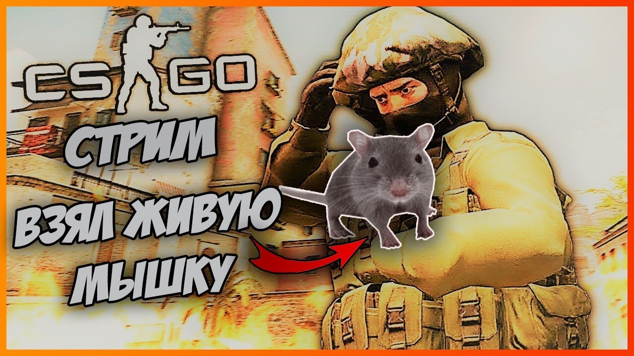 🎮 СТРИМ CS:GO😍ВЗЯЛ ЖИВУЮ МЫШКУ 🔥M4A4 | ГРИФОН НА РОЗЫГРЫШЕ🎁 ОБЩАЕМСЯ😍ИГРАЕМ🎮 смотреть онлайн