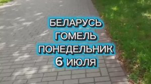 И ЖИЗНЬ, И СЛЕЗЫ,И ЛЮБОВЬ .. ВЛОГ -7  июля