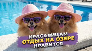 База отдыха Озеро 2026. Хутор Копанской. Отдых с собаками. Честный отзыв