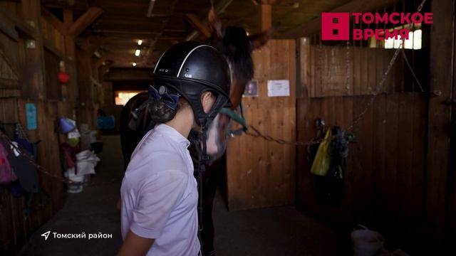 В Томске прошёл чемпионат по конному спорту