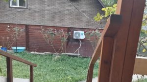 СОЧИ ГОРНОЕ ЛОО УТРО 08.07.2026