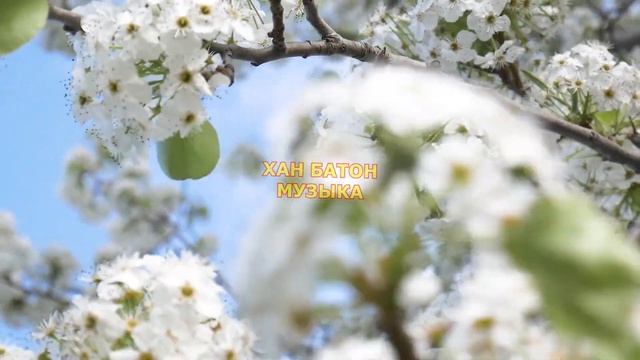 MISTY x Arteez & Vlad Mayer - Сияй (VeX & Myers x Alex Fit Radio Edit) /Музыка Без Авторских Прав смотреть онлайн