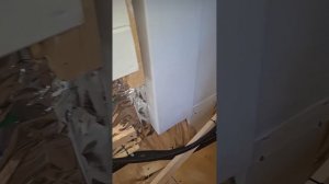 1000063603.mp4 (Собака слушает об устройстве приточно-вытяжной вентиляции в ванную дома А-фрейм)