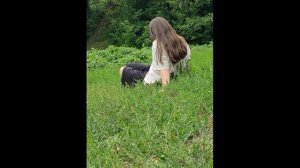 ЭСТЕТИЧНЫЕ ВИДЕО И ФОТО