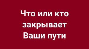 Причина застоя Вас удивит! Хоть и все делаете правильно