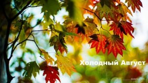 Холодный Август