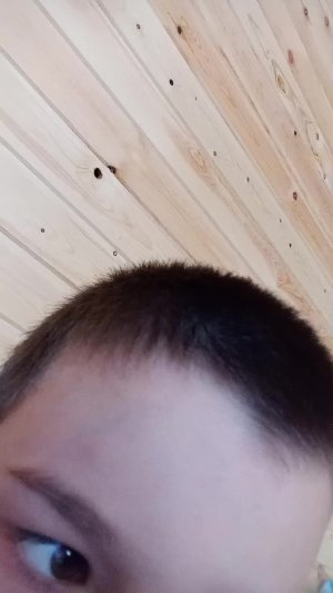 третий день на даче и он ещё тоже растёт третий день на даче