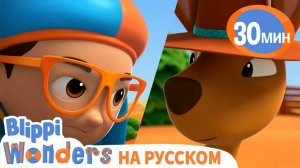Кенгуру _ Обучающие мультики для детей _ Blippi Russian