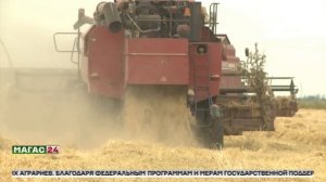 В Ингушетии стартовала уборочная кампания зерновых культур
