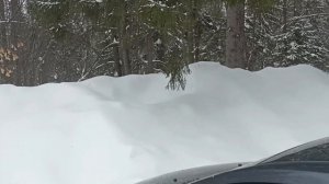 ПЕШИЙ РЕЖИМ НА АВТОМОБИЛЕ! ДОРОГИЕ ЗАКАЗЫ! АВТО КУРЬЕР ЯНДЕКС ЕДА