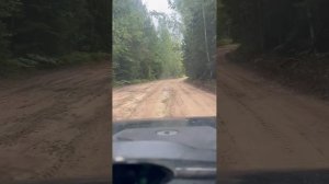ЛЕСНОЙ ДВИЖ. Следим за пожарной обстановкой в лесничестве.