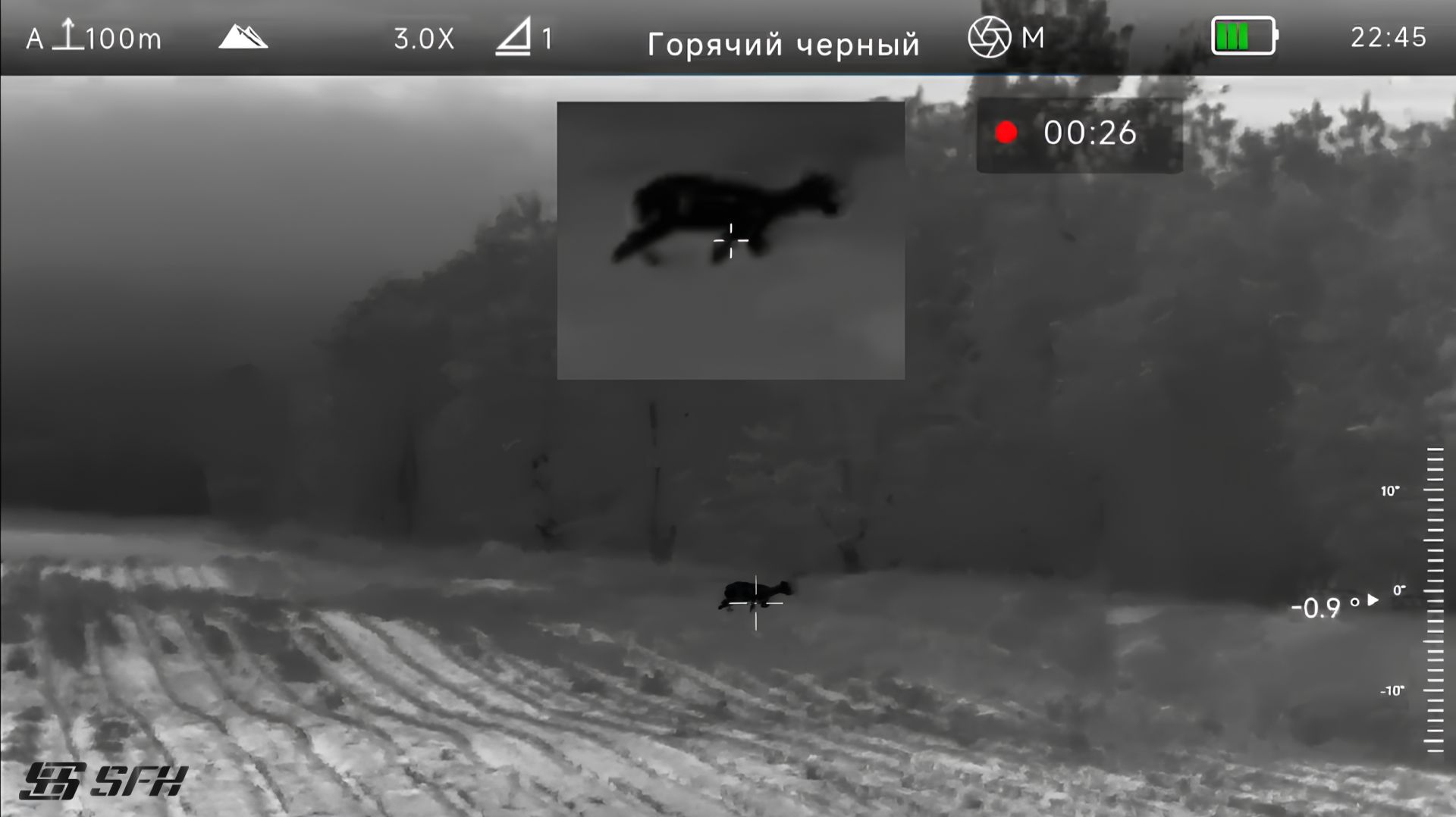 Охота на косулю с тепловизором SFH VARG H50RL PRO смотреть онлайн