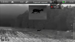 Охота на косулю с тепловизором SFH VARG H50RL PRO