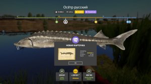ЛЕГЕНДАРНЫЕ РАЗДАЧИ ОСЕТРА НА АХТУБЕ, ФАРМА НА ЯМЕ ОБЗОР ВОДОЕМОВ 8.07 В РУССКОЙ РЫБАЛКЕ 4 РР4