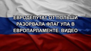 Евродепутат от Польши разорвала флаг УПА в Европарламенте. Видео