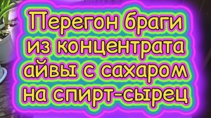 Перегон браги из концентрата айвы с сахаром на спирт-сырец