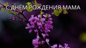 --С ДНЁМ РОЖДЕНИЯ МАМА -- 🎵 OFFICIAL VIDEO-- НОВАЯ ХРИСТИАНСКАЯ ПЕСНЯ 2026