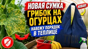 🇰🇿 КАЗАХСТАН 85-26! ОБРАЩЕНИЕ К ПОДПИСЧИКАМ/НОВАЯ СУМКА/ЭКСПЕРИМЕНТ С ПЕРЦАМИ/ПОРЯДОК В ТЕПЛИЦЕ