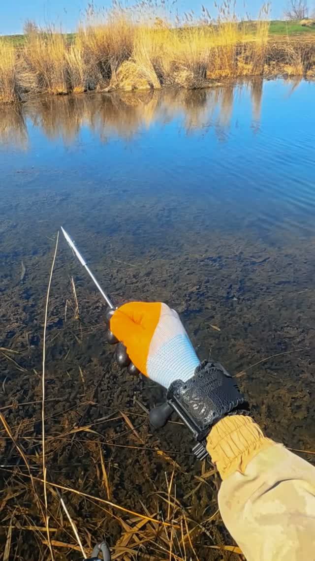 Охота с Рогаткой — Отличный Улов Уже на Втором Выезде! 🎣 смотреть онлайн