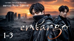 EMBARGO | главы 1-3 | вигуки | озвучка фанфиков | автор Rote Sonne