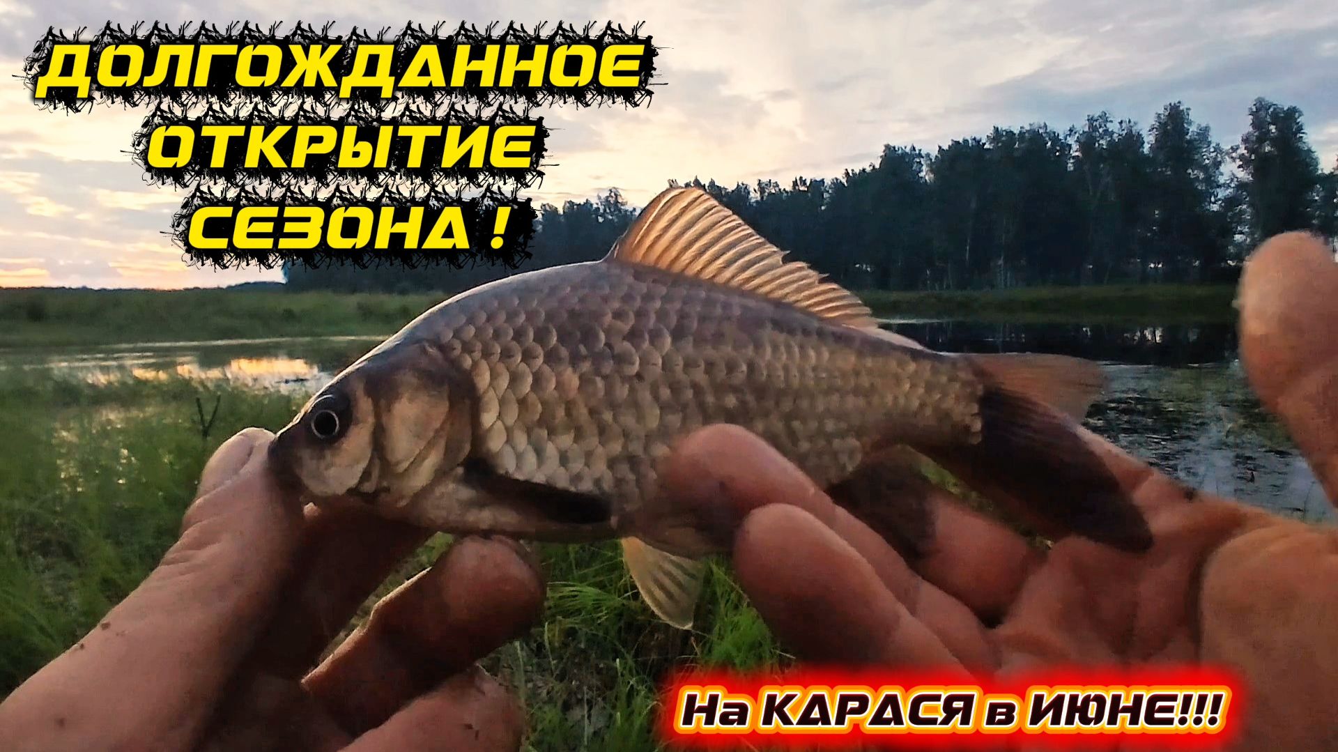 РЫБАЛКА на ПОПЛАВОК в КОНЦЕ ИЮНЯ 2026!!! смотреть онлайн
