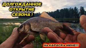 Рыбалка на ПОПЛАВОК! В Конце ИЮНЯ на КАРАСЯ 2026!!!