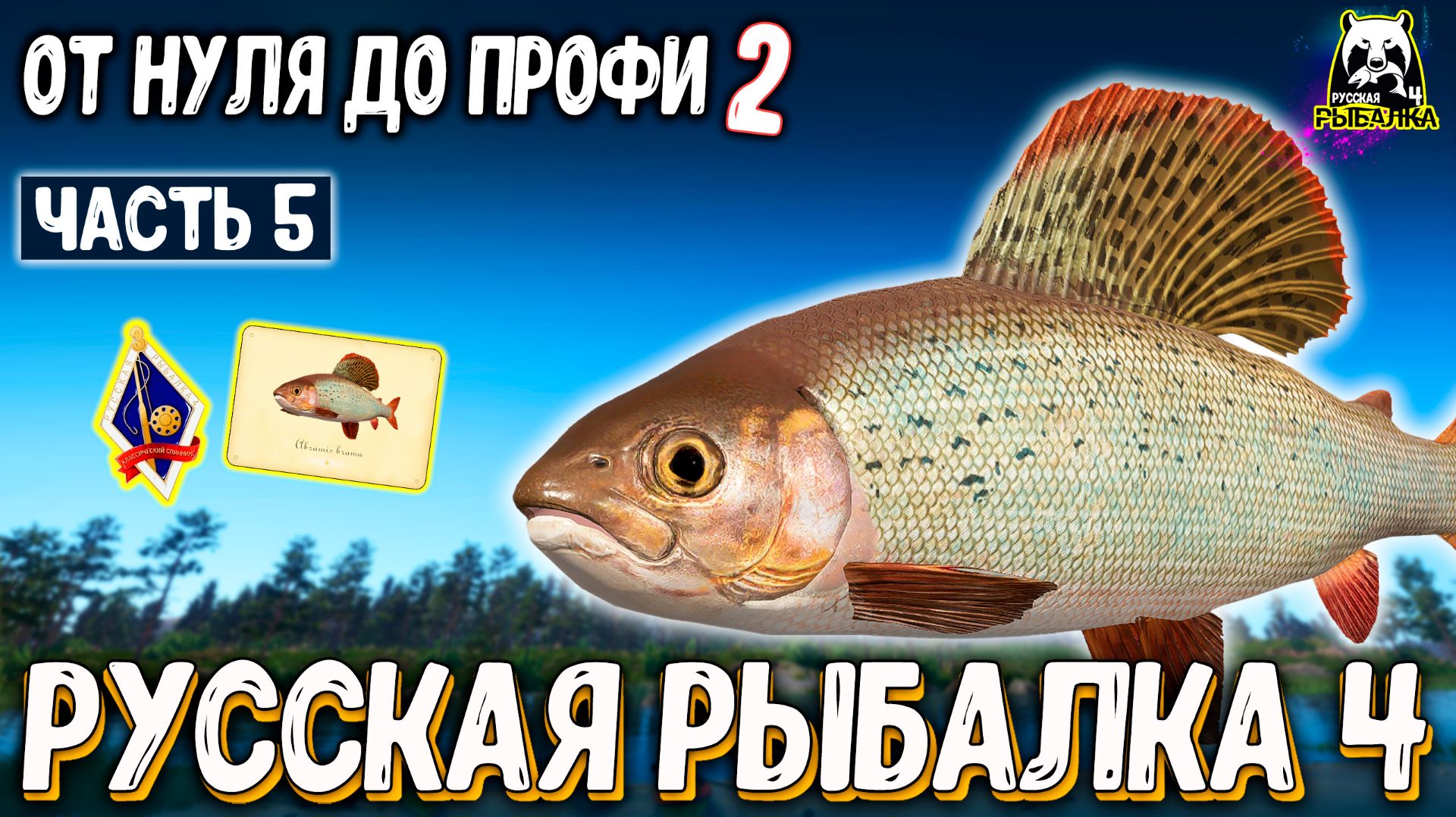 RF4 Сделал правильные шаги, купил спиннинг и катушку для белой #рр4 смотреть онлайн